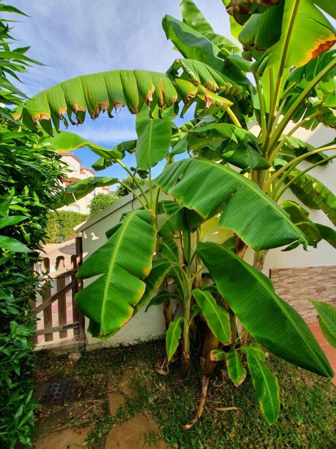 Torremar natura vera playa nudista luxury Bagian luar foto
